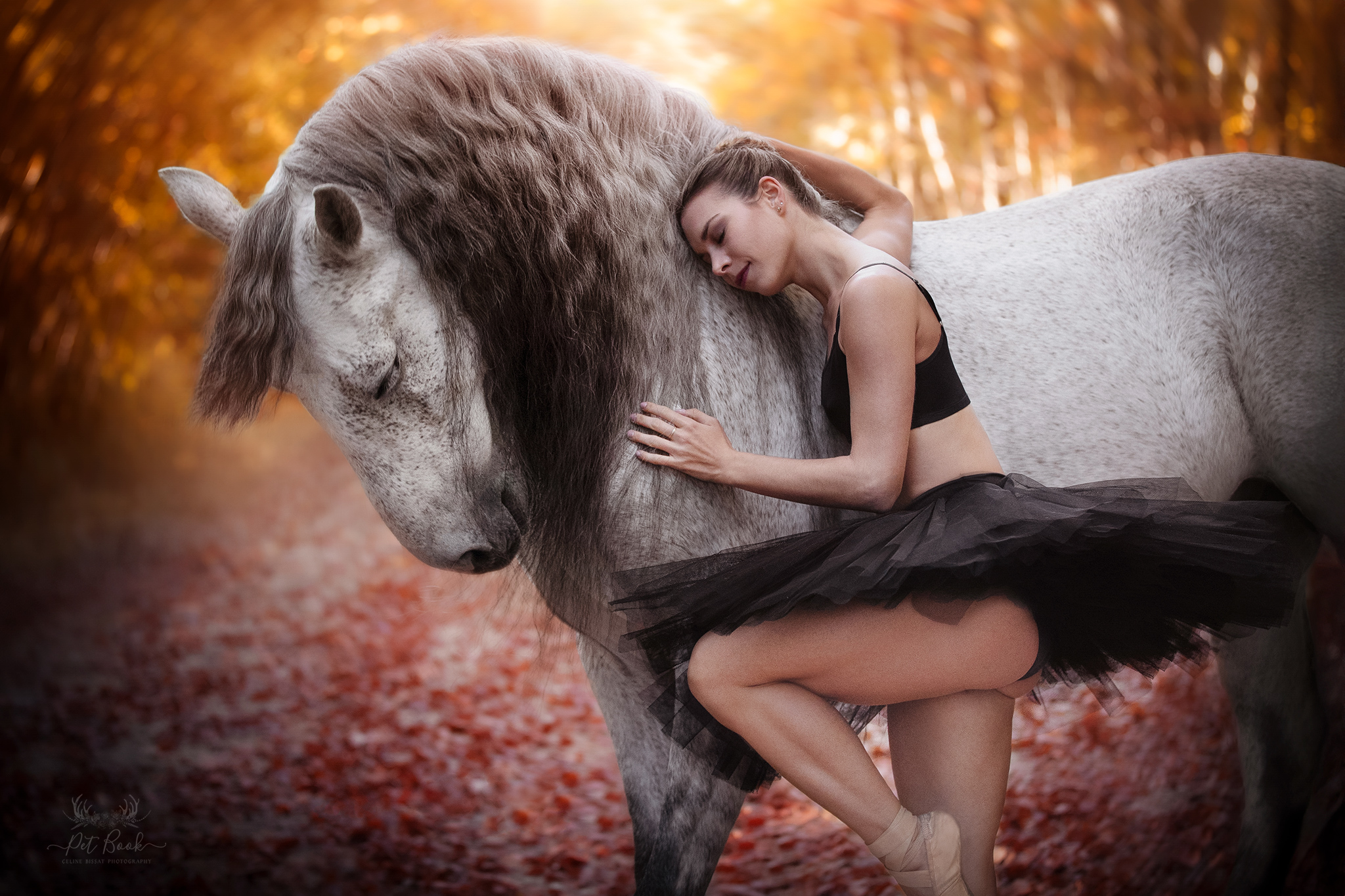 Femme cheval feuille automne